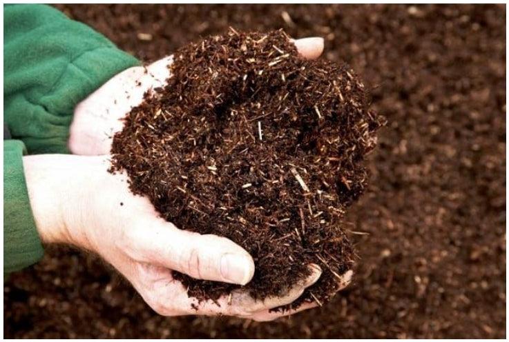 Khu vườn rau trên đất thịt được cải tạo tơi xốp với nhiều chất hữu cơ